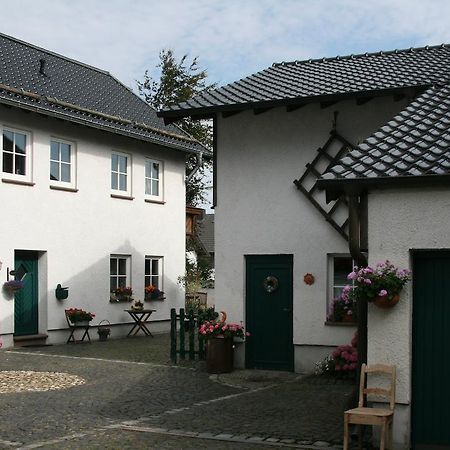 Ferienhaus Ginsterbluete Schleiden Camera foto