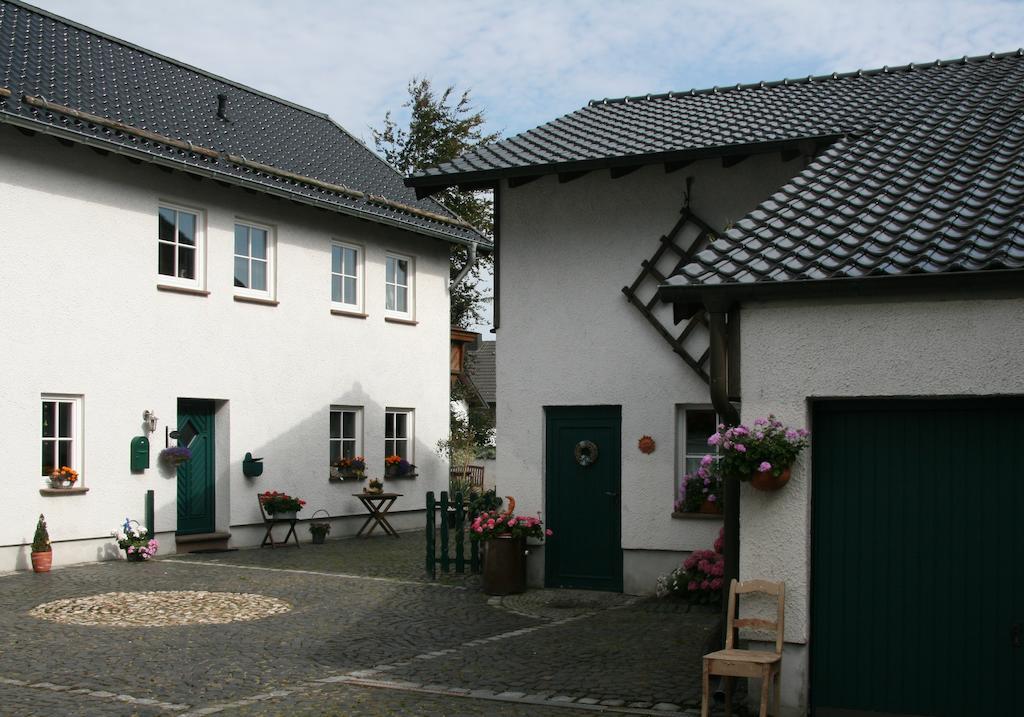 Ferienhaus Ginsterbluete Schleiden Camera foto
